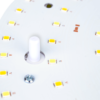 Naścienna oprawa hermetyczna LED, inwerter, czujnik ruchu 230VAC 13/2W 1200/140lm ADAMSE13W TRACON