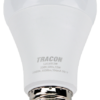 Żarówka LED z chipem Samsung - globLAS6012W