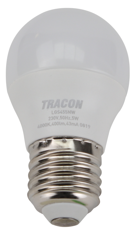 Żarówka LED z chipem Samsung - globLGS455W