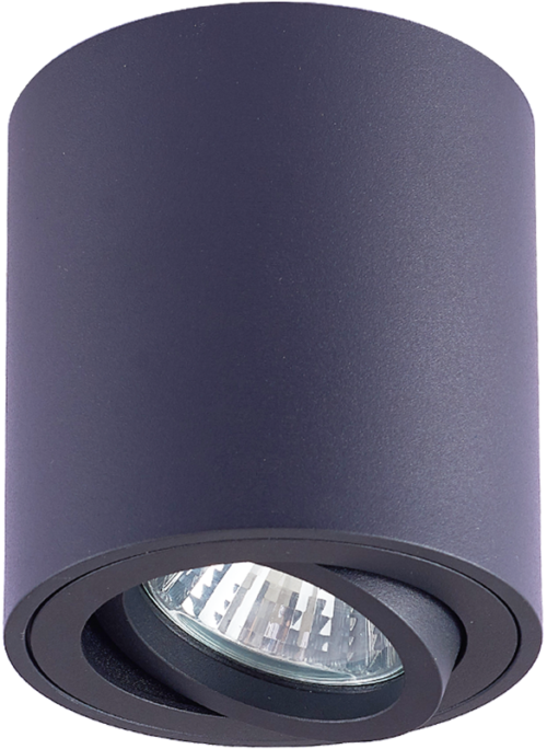 Reflektor sufitowy regulowany cylindryczny czarny Reflektor sufitowy regulowany cylindryczny czarnySPGU10MDB